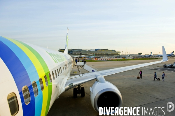 Orly.Embarquement d un avion de la compagnie low cost Transavia