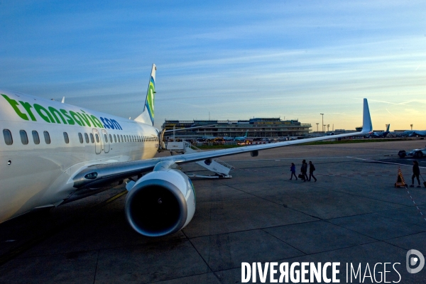 Orly.Embarquement d un avion de la compagnie low cost Transavia