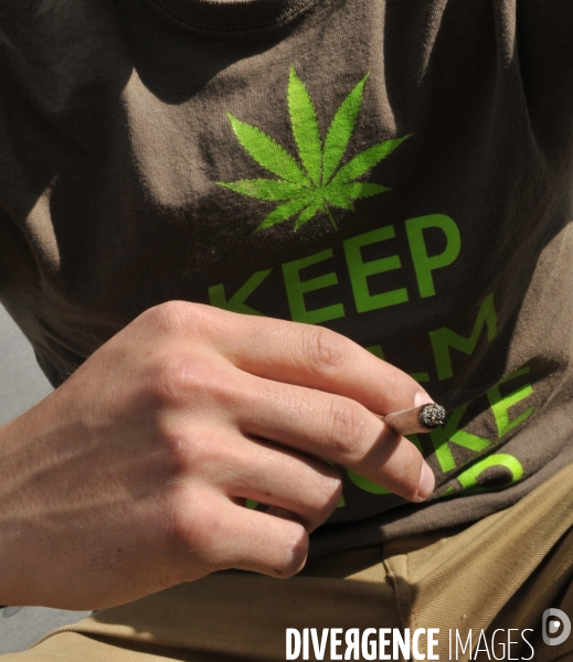 Marche mondiale pour le cannabis à Paris.