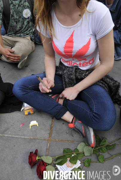 Marche mondiale pour le cannabis à Paris.