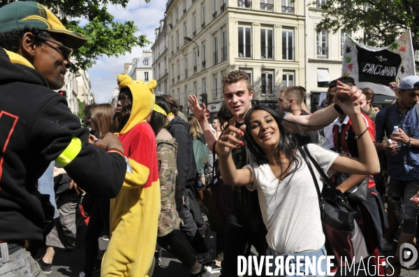 Marche mondiale pour le cannabis à Paris.