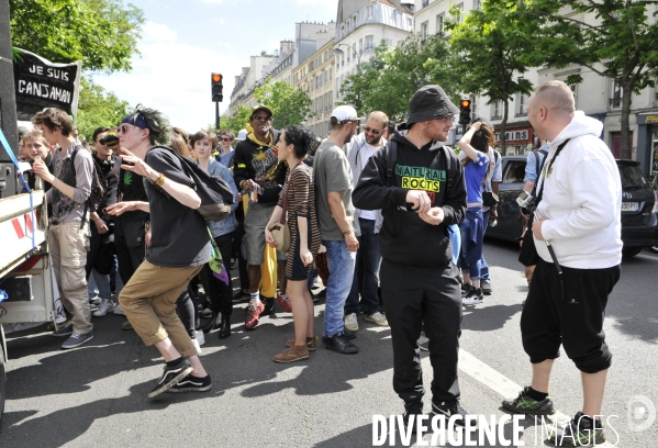 Marche mondiale pour le cannabis à Paris.