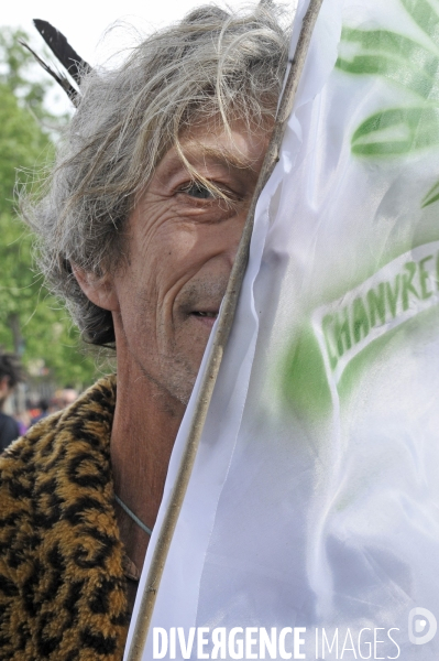 Marche mondiale pour le cannabis à Paris.