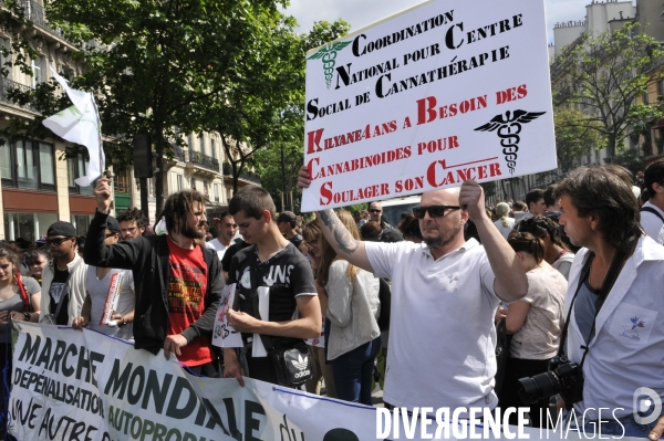 Marche mondiale pour le cannabis à Paris.