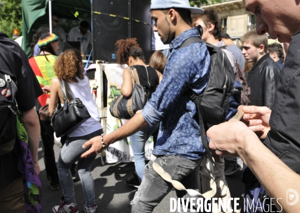 Marche mondiale pour le cannabis à Paris.