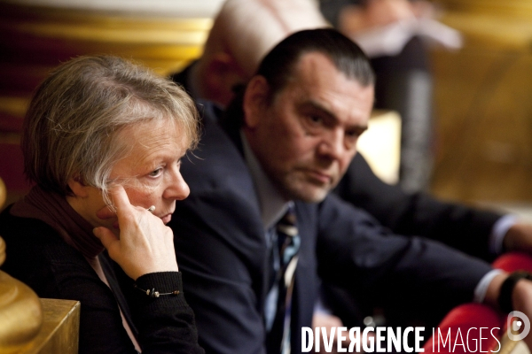 Assemblee nationale 15 fev 2011