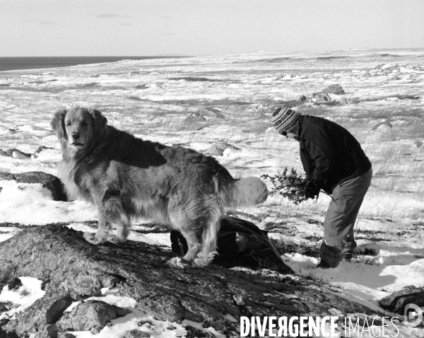 Un hiver à Saint-Pierre et Miquelon