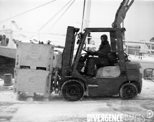 Un hiver à Saint-Pierre et Miquelon