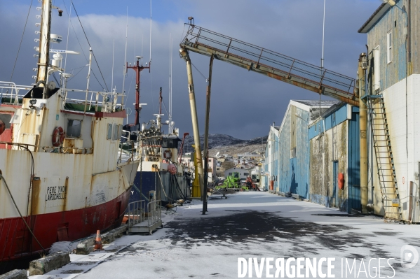 Un hiver à Saint-Pierre et Miquelon