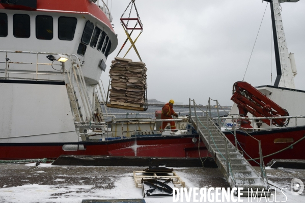 Un hiver à Saint-Pierre et Miquelon