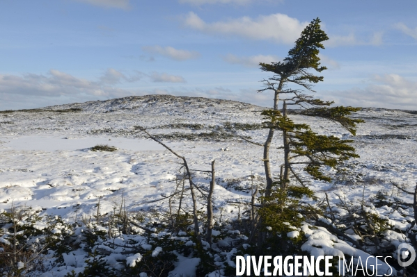 Un hiver à Saint-Pierre et Miquelon