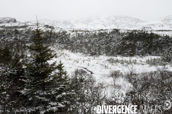 Un hiver à Saint-Pierre et Miquelon