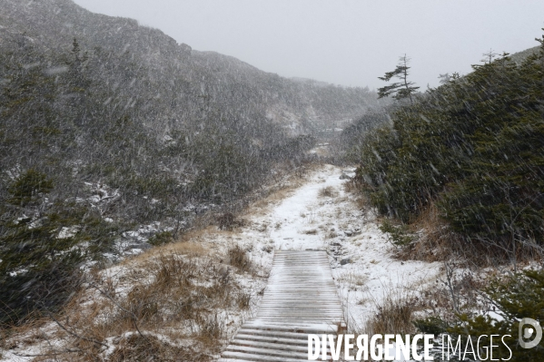 Un hiver à Saint-Pierre et Miquelon