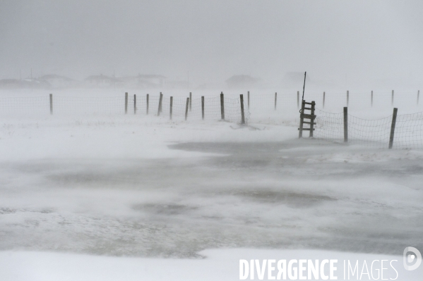 Un hiver à Saint-Pierre et Miquelon