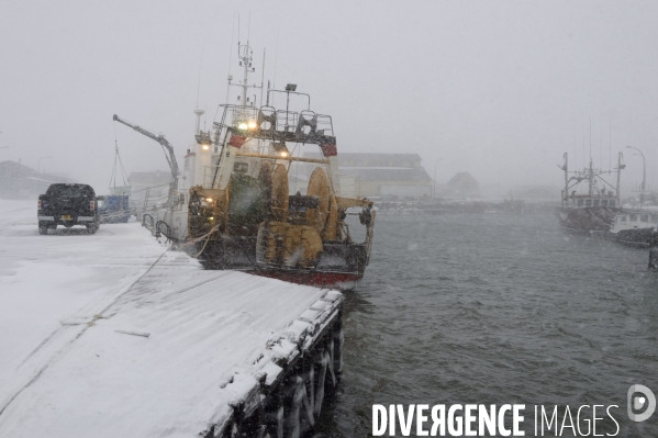 Un hiver à Saint-Pierre et Miquelon