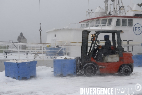 Un hiver à Saint-Pierre et Miquelon