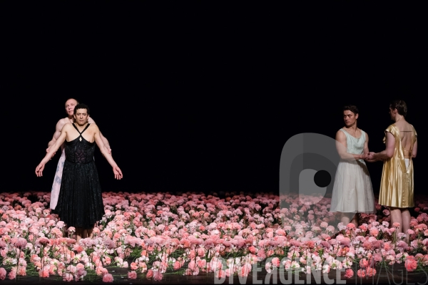 Nelken  / Pina Bausch - Tanztheater Wuppertal