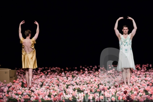 Nelken  / Pina Bausch - Tanztheater Wuppertal