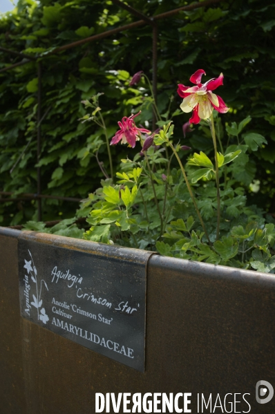 24ème édition du Festival International des Jardins de Chaumont-sur-Loire sur le thème « Jardins extraordinaires, jardins de collection »