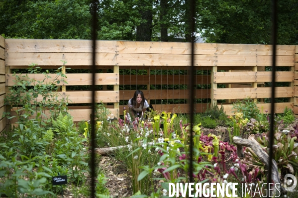 24ème édition du Festival International des Jardins de Chaumont-sur-Loire sur le thème « Jardins extraordinaires, jardins de collection »