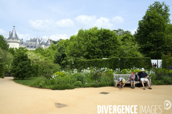 24ème édition du Festival International des Jardins de Chaumont-sur-Loire sur le thème « Jardins extraordinaires, jardins de collection »