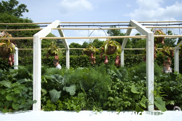 24ème édition du Festival International des Jardins de Chaumont-sur-Loire sur le thème « Jardins extraordinaires, jardins de collection »