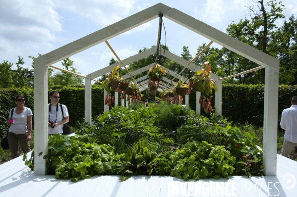 24ème édition du Festival International des Jardins de Chaumont-sur-Loire sur le thème « Jardins extraordinaires, jardins de collection »