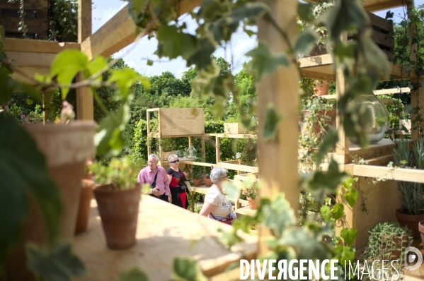 24ème édition du Festival International des Jardins de Chaumont-sur-Loire sur le thème « Jardins extraordinaires, jardins de collection »