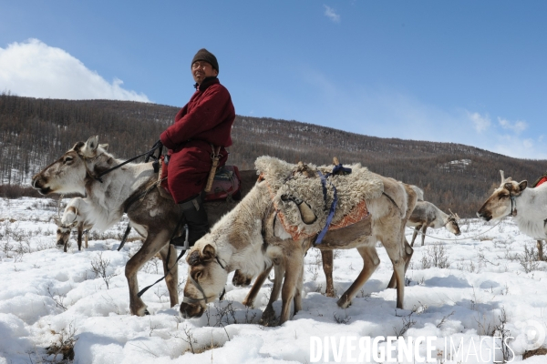 Les Tsaatan. Les nomades de la taïga en Mongolie