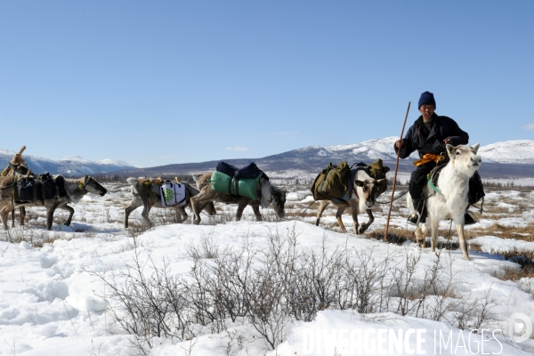 Les Tsaatan. Les nomades de la taïga en Mongolie