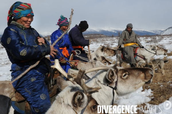 Les Tsaatan. Les nomades de la taïga en Mongolie