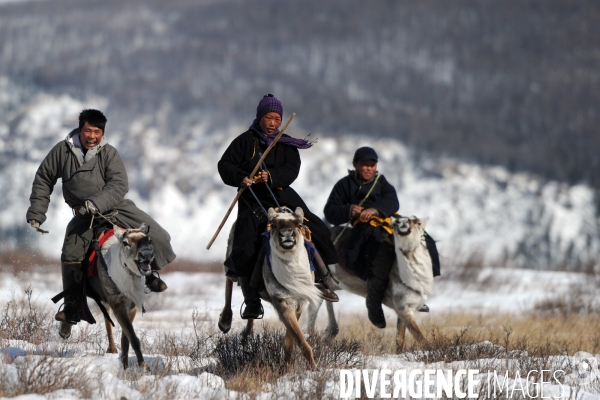 Les Tsaatan. Les nomades de la taïga en Mongolie