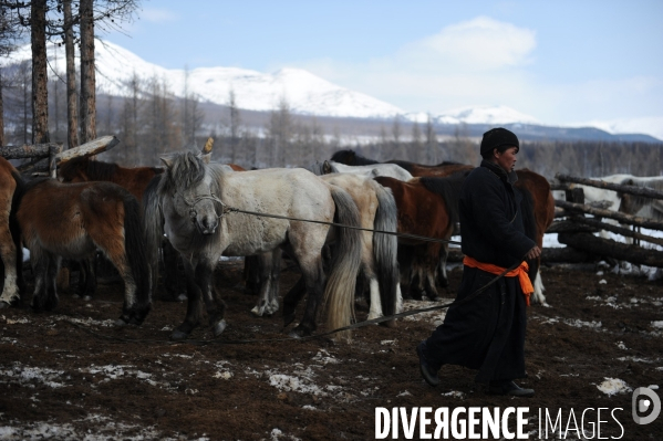 Les Tsaatan. Les nomades de la taïga en Mongolie