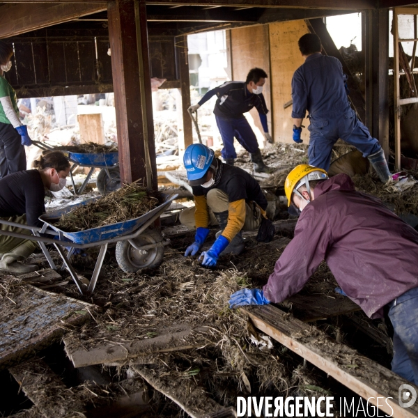 Japon, Sendai - Ishinomaki, sur les traces du tsunami