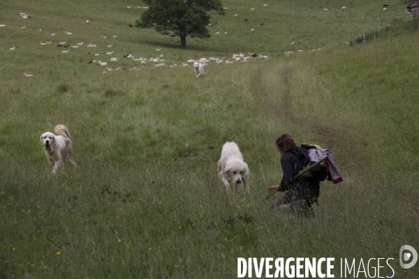 La Pastorale Pyrénéenne