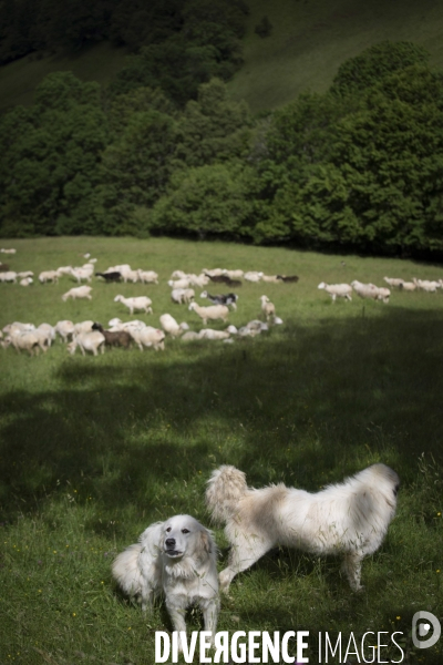 La Pastorale Pyrénéenne