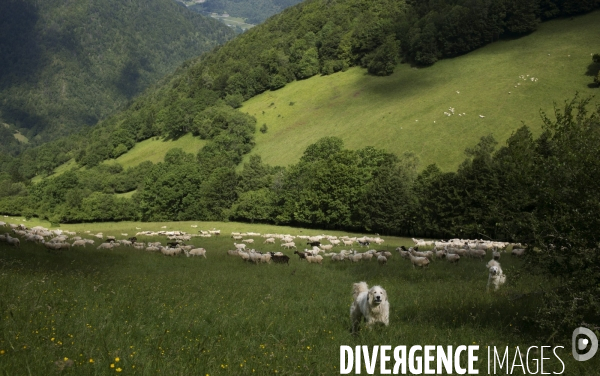 La Pastorale Pyrénéenne