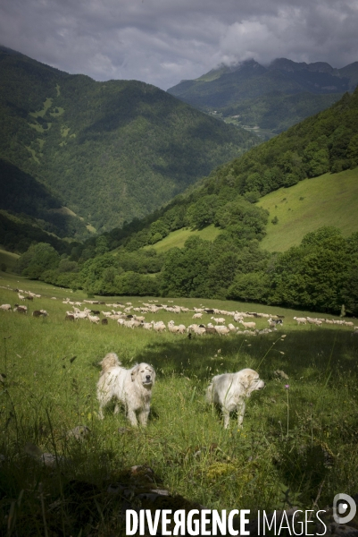 La Pastorale Pyrénéenne