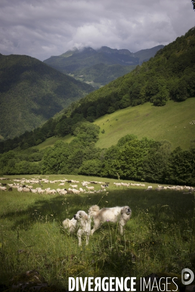 La Pastorale Pyrénéenne