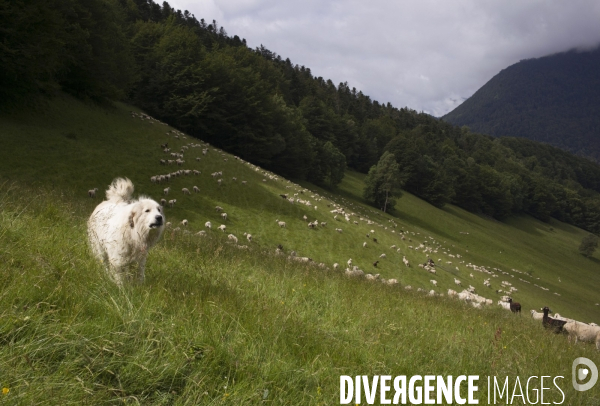 La Pastorale Pyrénéenne