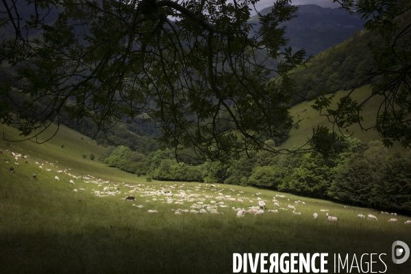La Pastorale Pyrénéenne