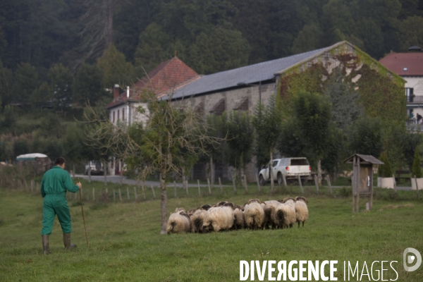 Roncesvalles/ Roncevaux