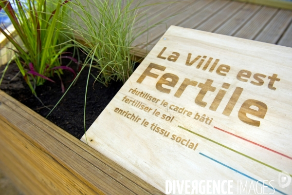 Illustration Mai 2015.La ville est fertile