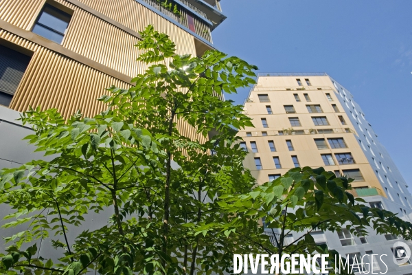 Avec ses 50m, HOME est la plus haute tour d habitation inaugurée à Paris depuis les années 70.