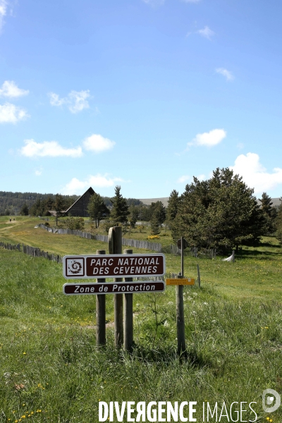 Parc National des Cévennes