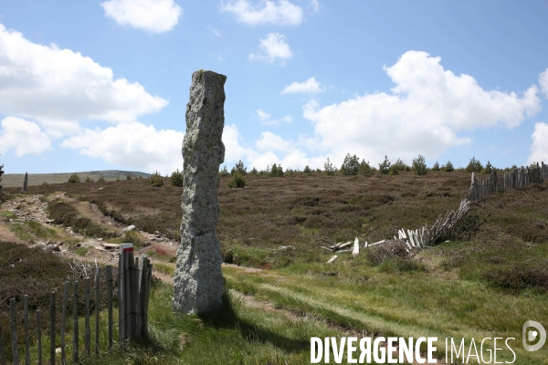 Parc National des Cévennes