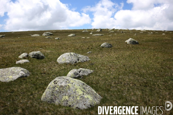 Parc National des Cévennes