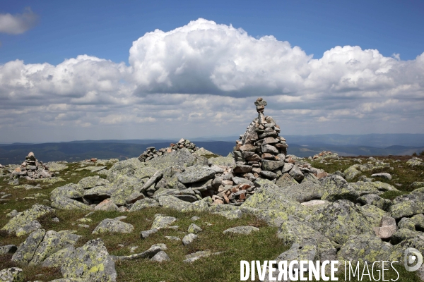 Parc National des Cévennes