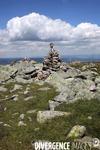 Parc National des Cévennes