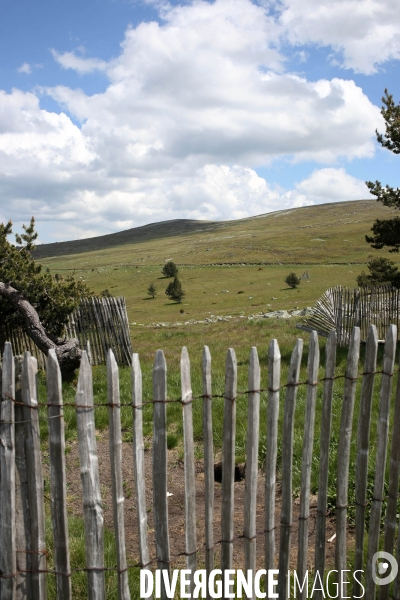 Parc National des Cévennes